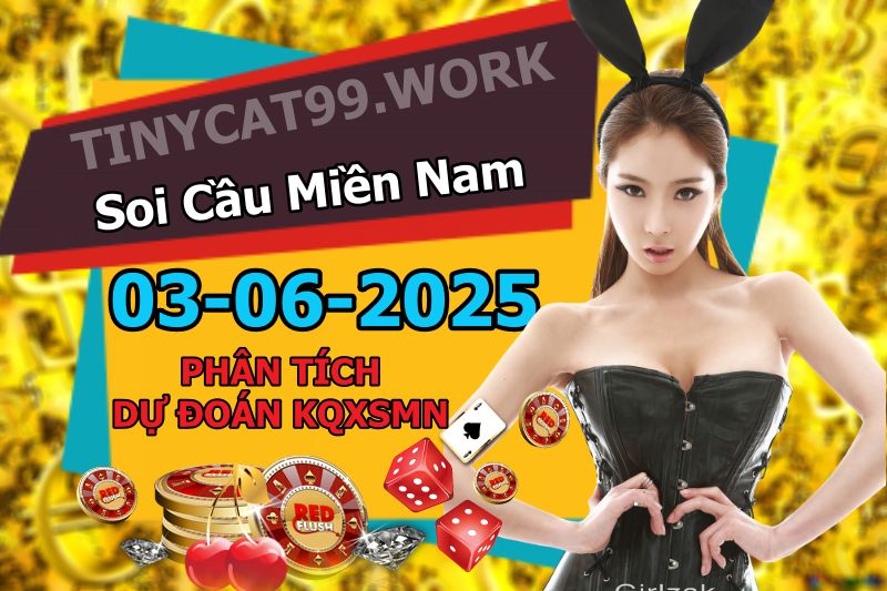 soi cầu xsmn 03 06 2025, soi cầu mn 03/06/2025, dự đoán xsmn 03 06 2025, btl mn 03-06-2025, dự đoán miền nam 03/06/2025, chốt số mn 03 06 2025, soi cau mien nam 03-06-2025