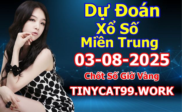 soi cầu xsmt 03-08-2025, soi cầu mt 03-08-2025, dự đoán xsmt 03-08-2025, btl mt 03-08-2025, dự đoán miền trung 03-08-2025, chốt số mt 03-08-2025, soi cau mien trung 03 08 2025