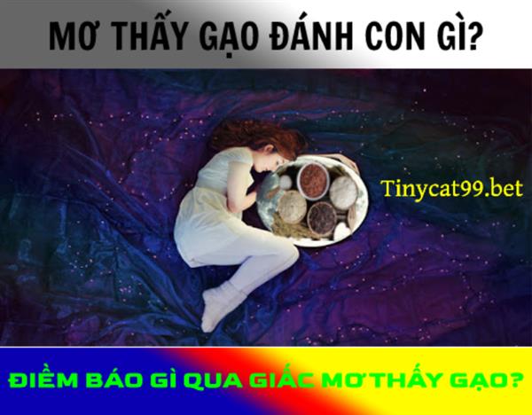 Mơ Thấy Gạo Đánh Con Gì? Điềm Báo Gì Qua Giấc Mơ Thấy Gạo?