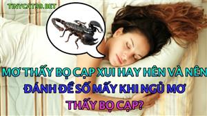 Nằm Mơ Thấy Bò Cạp Đánh Đề Con Gì? Giải Mã Giấc Mơ