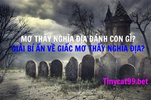 Mơ Thấy Nghĩa Địa Đánh Con Gì? Giải Bí Ẩn Giấc Mơ Nghĩa Trang?