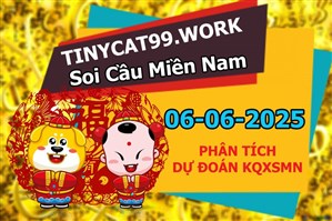 Dự Đoán Miền Nam 06-06-2025 Soi Cầu XSMN Chốt Số Bao Lô Thứ 6